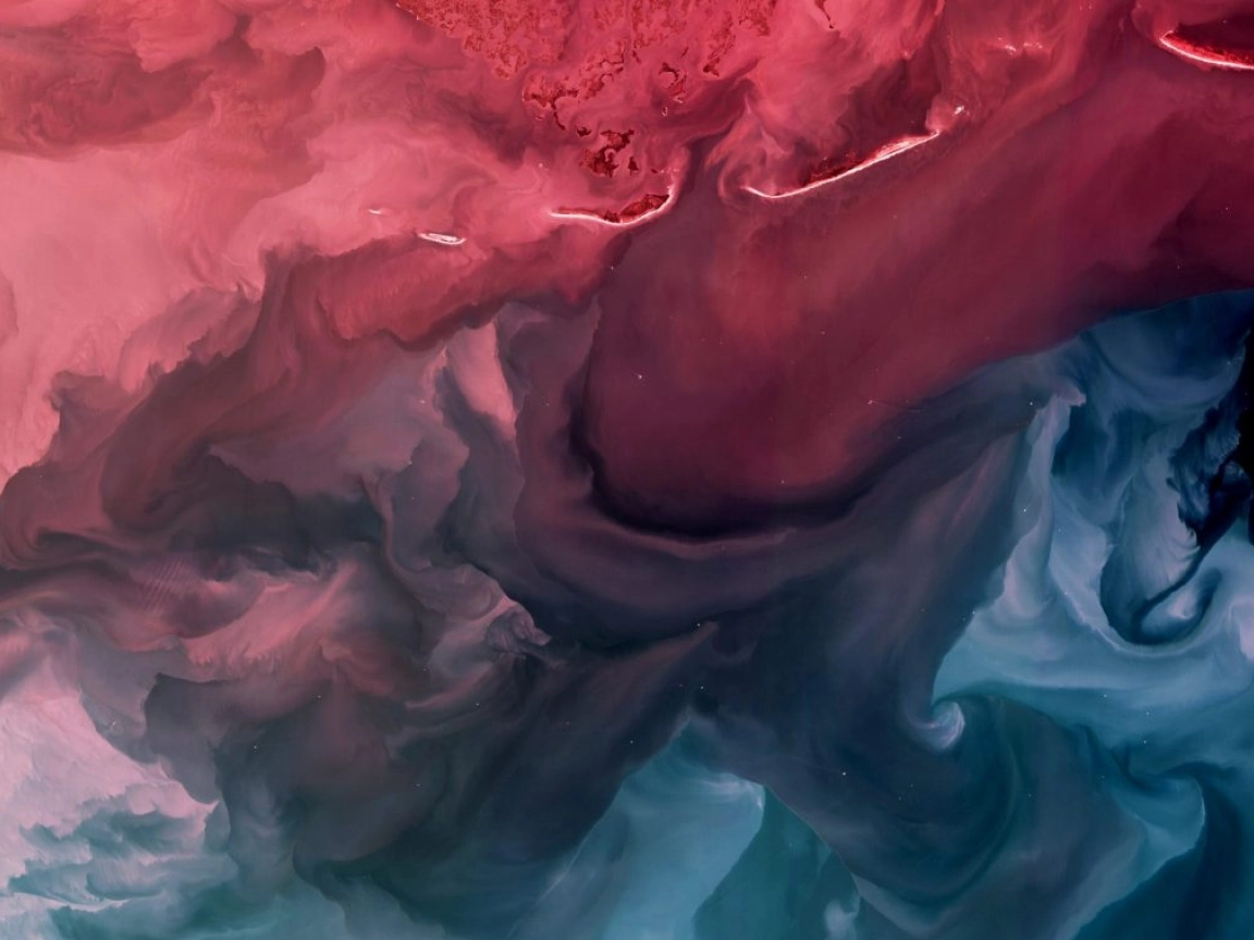 Climate technology start-up companies have raised a record $32 billion in 2021